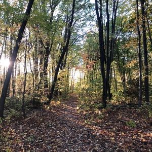 Meet your Posher, Sophie